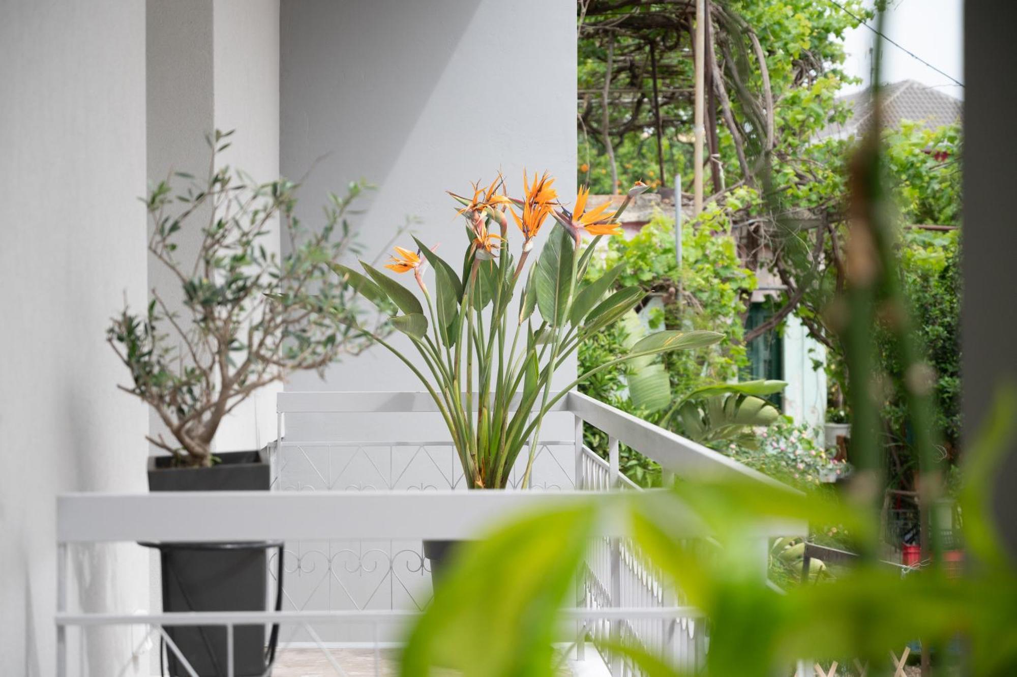 Louisa Luxury Apartments Preveza Bagian luar foto